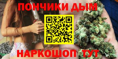 индика Будённовск