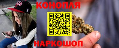 индика Будённовск