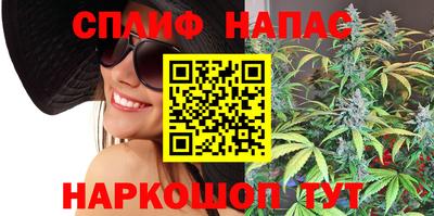 индика Будённовск