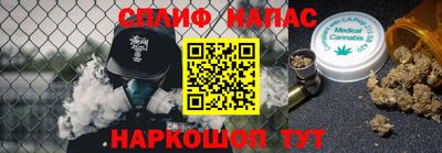 индика Будённовск