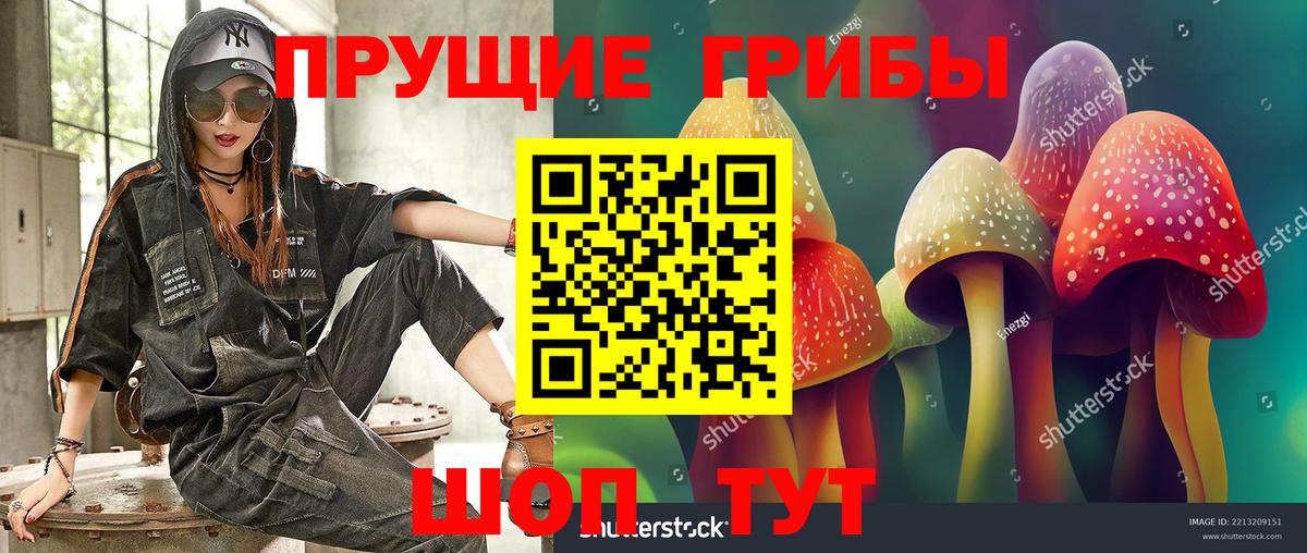 Щёкино  Галлюциногенные грибы мухоморы  Вход с VPN 
